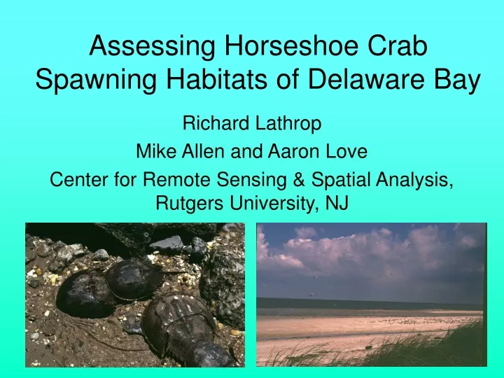 assessing horseshoe crab spawning habitats of delaware bay