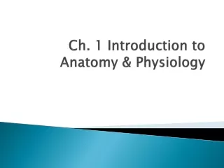 Ch. 1 Introduction to Anatomy &amp; Physiology