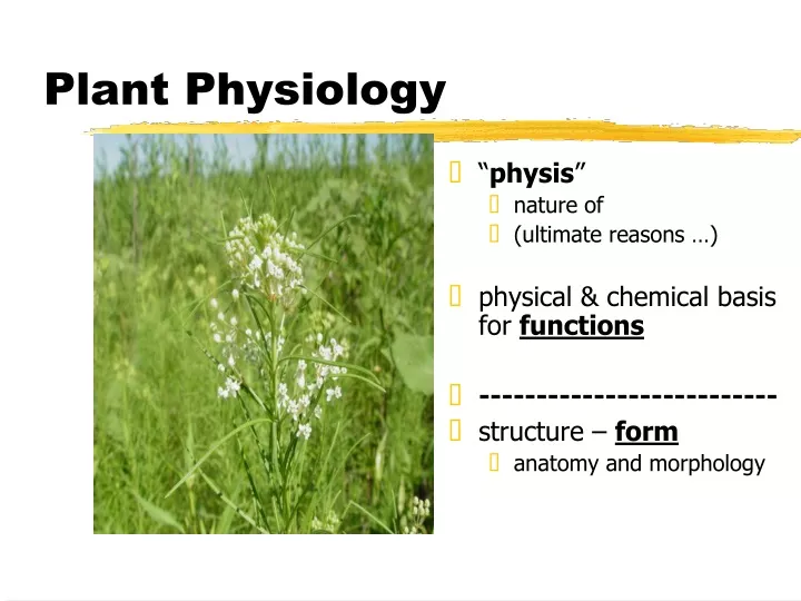 plant physiology