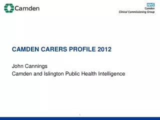 Camden  carers profile 2012