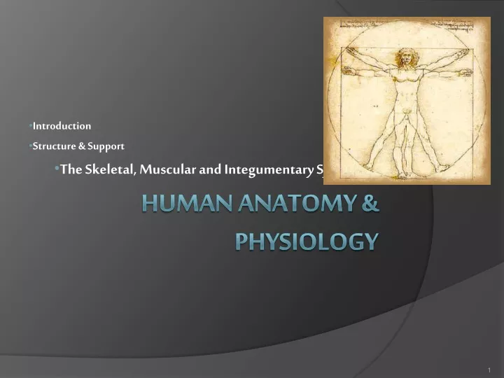 introduction structure support the skeletal muscular and integumentary systems