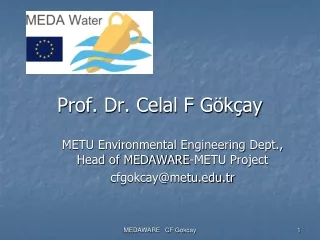 Prof. Dr. Celal F Gökçay
