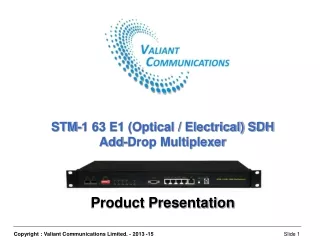STM-1 63 E1 (Optical / Electrical) SDH Add-Drop Multiplexer Product Presentation