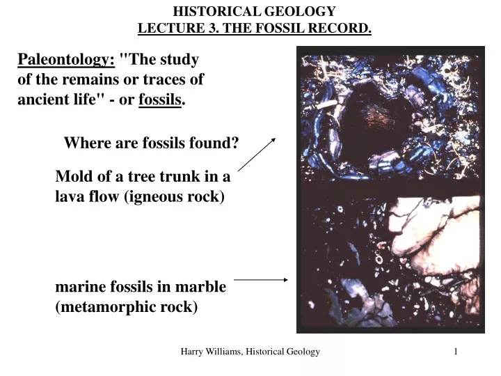 historical geology lecture 3 the fossil record