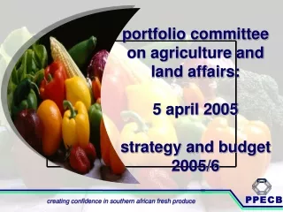portfolio committee on agriculture and land affairs: 5 april 2005 strategy and budget 2005/6