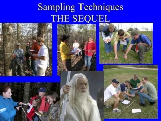Sampling Techniques THE SEQUEL
