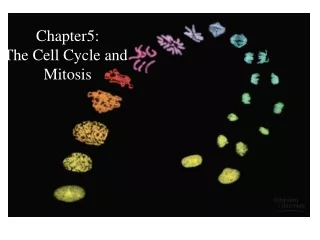 Chapter5: The Cell Cycle and  Mitosis
