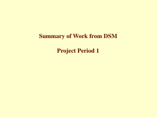 Summary of Work from DSM Project Period 1