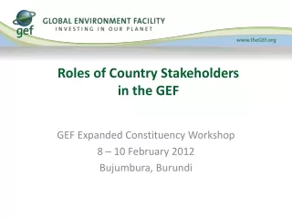 Roles of Country Stakeholders in the GEF