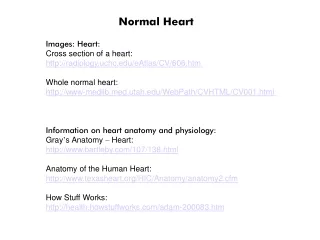 Normal Heart