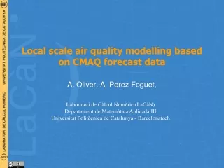 Local scale air quality modelling based on CMAQ forecast data