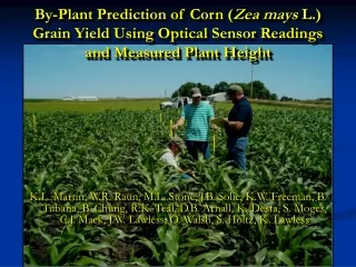 By-Plant Prediction of Corn Grain Yield