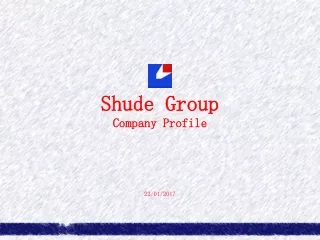 Shude Group  Company Profile