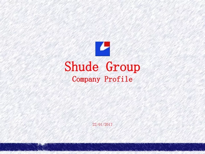 shude group company profile