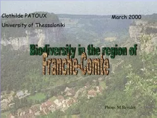 Clothilde PATOUX University of Thessaloniki