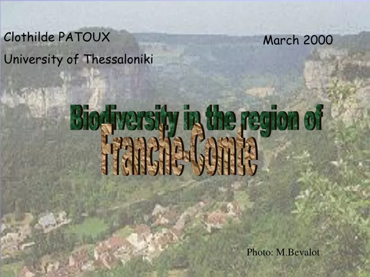 clothilde patoux university of thessaloniki
