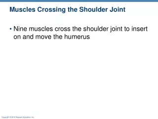 Muscles Crossing the Shoulder Joint