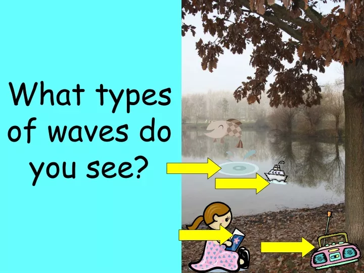 what types of waves do you see