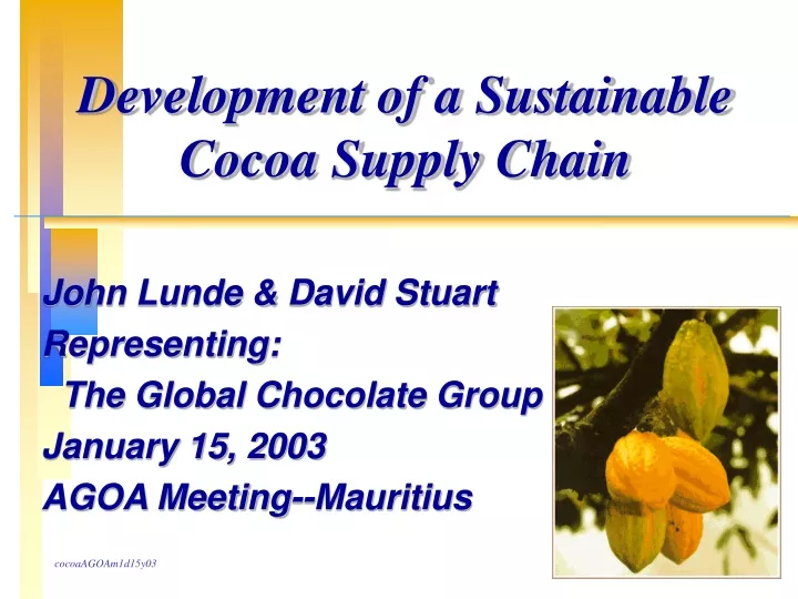development of a sustainable cocoa supply chain