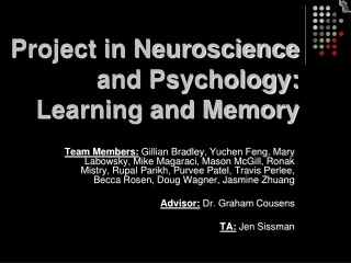 Project in Neuroscience and Psychology: Learning and Memory