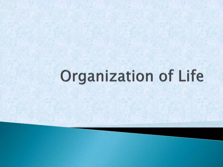 organization of life