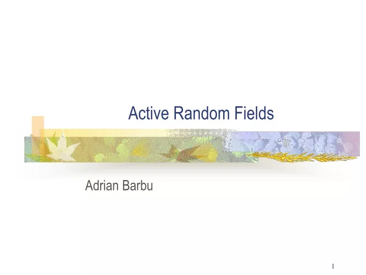 active random fields