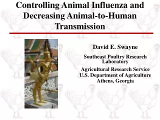 Controlling Animal Influenza and Decreasing Animal-to-Human Transmission