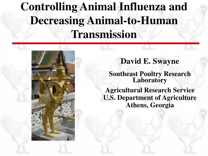 controlling animal influenza and decreasing animal to human transmission