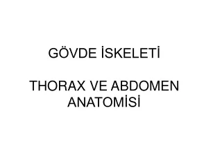 GÖVDE İSKELETİ  THORAX VE ABDOMEN ANATOMİSİ