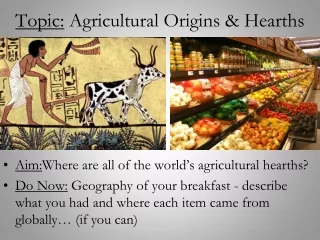 Topic:  Agricultural Origins &amp; Hearths