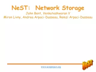 NeST:  Network storage