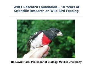WBFI Research Foundation – 10 Years of Scientific Research on Wild Bird Feeding