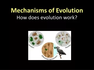 Mechanisms of Evolution How does evolution work?