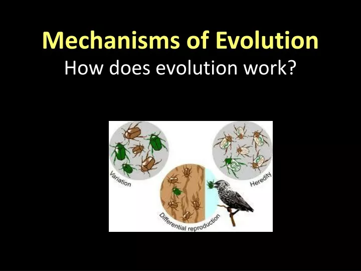 mechanisms of evolution how does evolution work