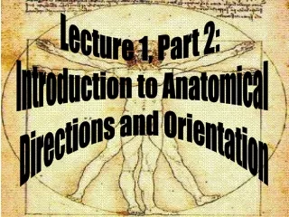 Lecture 1, Part 2:   Introduction to Anatomical  Directions and Orientation