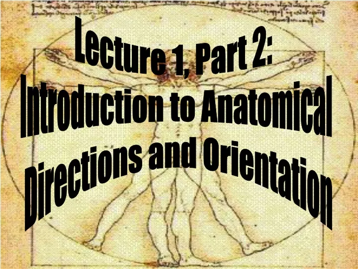 lecture 1 part 2 introduction to anatomical
