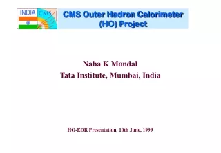 CMS Outer Hadron Calorimeter (HO) Project