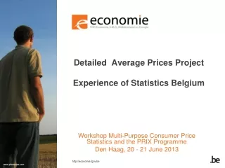 Detailed  Average Prices Project Experience of Statistics Belgium