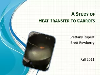 A Study of  Heat Transfer to Carrots