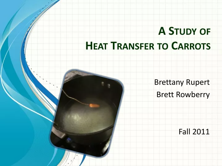 a study of heat transfer to carrots