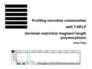 Profiling microbial communities  with T-RFLP (terminal restriction fragment length polymorphism)