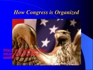 How Congress is Organized