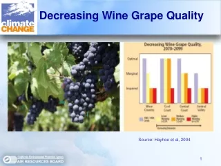 Decreasing Wine Grape Quality