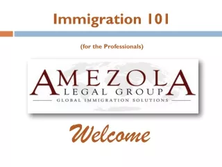 Immigration 101  (for the Professionals)