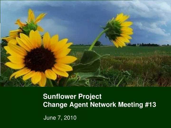 sunflower project change agent network meeting 13