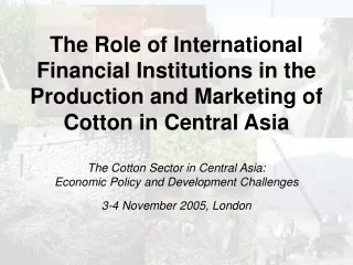 Why Do IFIs Invest in Cotton?