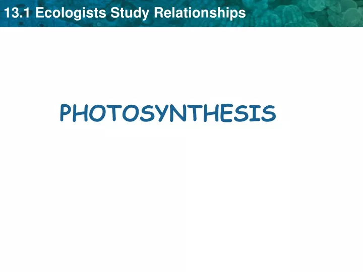 photosynthesis