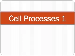 Cell Processes 1