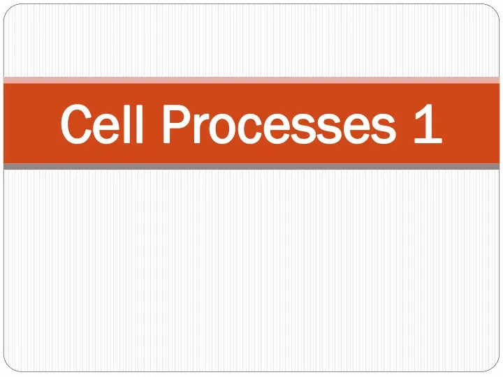 cell processes 1