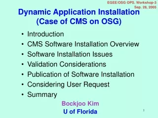 Dynamic Application Installation (Case of CMS on OSG)